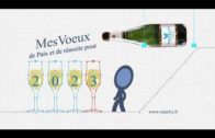 Création Vidéo et mix live  background Led  pub sequin YSL